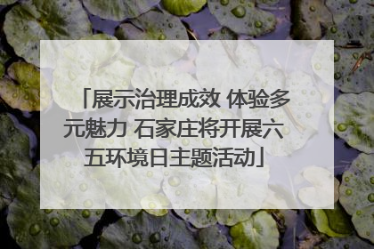 展示治理成效 体验多元魅力 石家庄将开展六五环境日主题活动