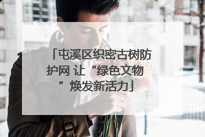 屯溪区织密古树防护网 让“绿色文物”焕发新活力