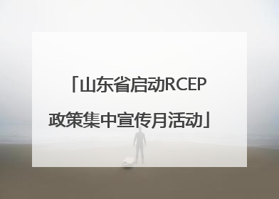 山东省启动RCEP政策集中宣传月活动