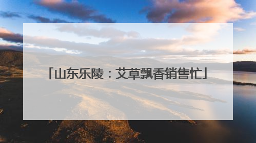 山东乐陵：艾草飘香销售忙