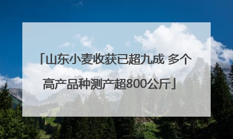 山东小麦收获已超九成 多个高产品种测产超800公斤