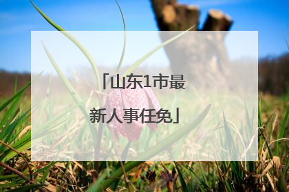 山东1市最新人事任免