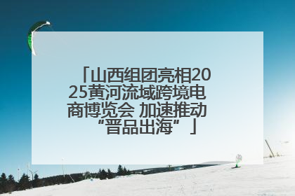 山西组团亮相2025黄河流域跨境电商博览会 加速推动“晋品出海”