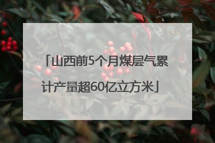 山西前5个月煤层气累计产量超60亿立方米