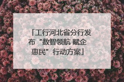 工行河北省分行发布“数智领航 赋企惠民”行动方案