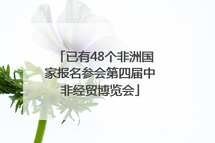 已有48个非洲国家报名参会第四届中非经贸博览会