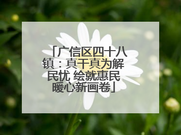 广信区四十八镇：真干真为解民忧 绘就惠民暖心新画卷
