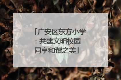 广安区东方小学：共建文明校园 同享和谐之美