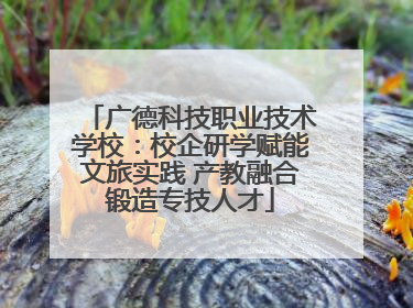 广德科技职业技术学校：校企研学赋能文旅实践 产教融合锻造专技人才