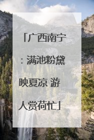 广西南宁：满池粉黛映夏凉 游人赏荷忙