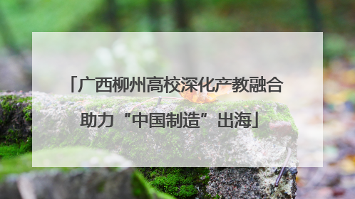 广西柳州高校深化产教融合 助力“中国制造”出海