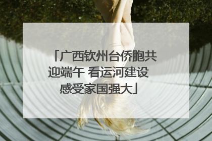 广西钦州台侨胞共迎端午 看运河建设感受家国强大