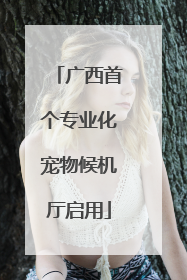 广西首个专业化宠物候机厅启用