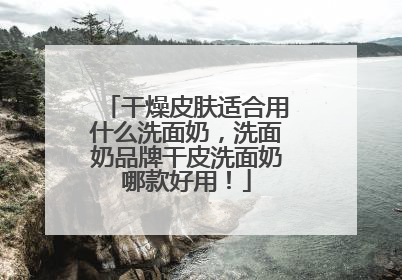 干燥皮肤适合用什么洗面奶，洗面奶品牌干皮洗面奶哪款好用！