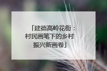 建德高岭花街：村民画笔下的乡村振兴新画卷