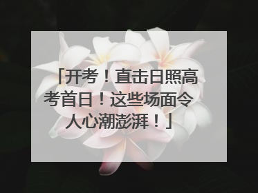 开考！直击日照高考首日！这些场面令人心潮澎湃！