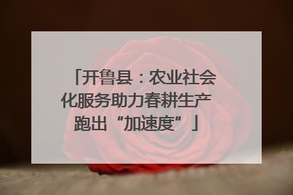 开鲁县：农业社会化服务助力春耕生产跑出“加速度”