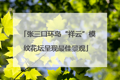 张三口环岛“祥云”模纹花坛呈现最佳景观