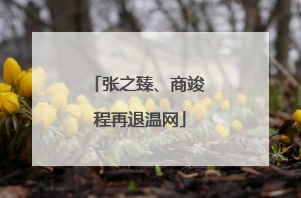 张之臻、商竣程再退温网