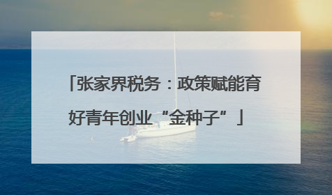 张家界税务：政策赋能育好青年创业“金种子”