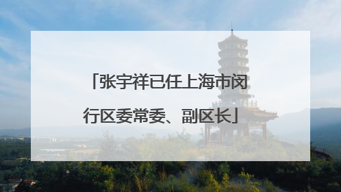 张宇祥已任上海市闵行区委常委、副区长