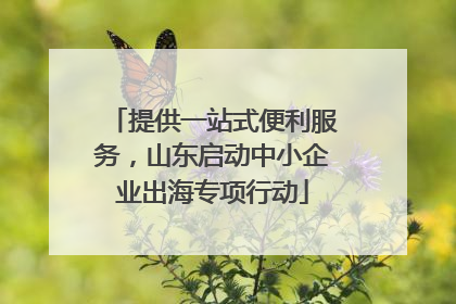 提供一站式便利服务，山东启动中小企业出海专项行动