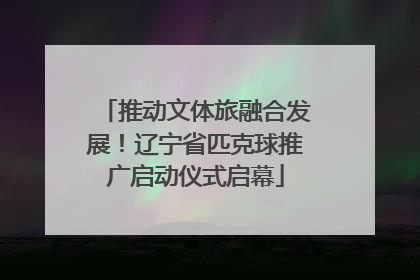 推动文体旅融合发展！辽宁省匹克球推广启动仪式启幕