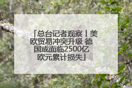 总台记者观察丨美欧贸易冲突升级 德国或面临2500亿欧元累计损失