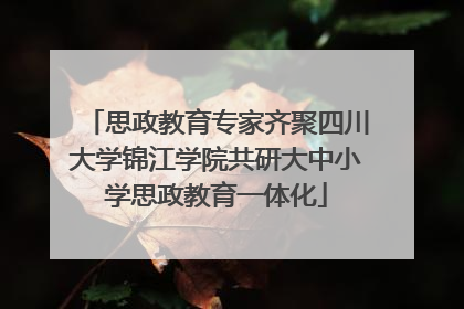 思政教育专家齐聚四川大学锦江学院共研大中小学思政教育一体化
