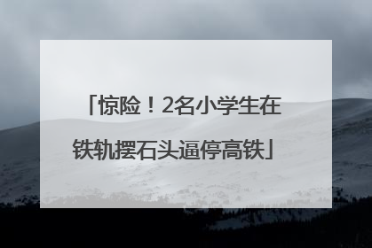 惊险！2名小学生在铁轨摆石头逼停高铁