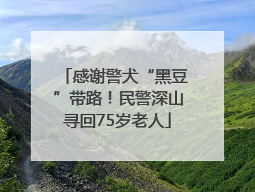 感谢警犬“黑豆”带路！民警深山寻回75岁老人
