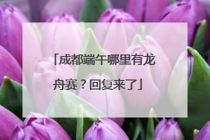 成都端午哪里有龙舟赛？回复来了