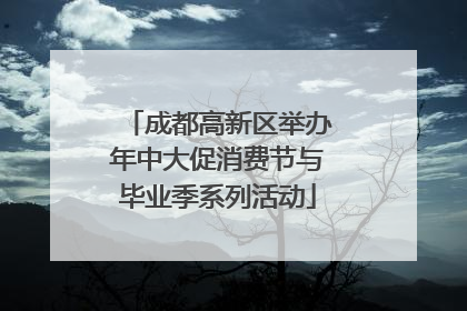 成都高新区举办年中大促消费节与毕业季系列活动