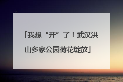我想“开”了！武汉洪山多家公园荷花绽放