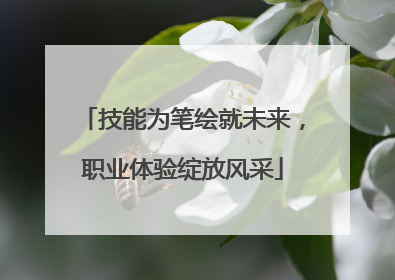 技能为笔绘就未来，职业体验绽放风采