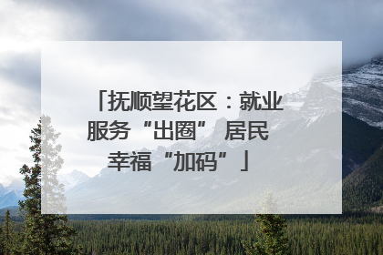 抚顺望花区：就业服务“出圈” 居民幸福“加码”
