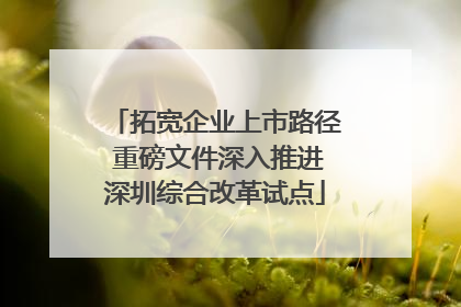 拓宽企业上市路径 重磅文件深入推进深圳综合改革试点
