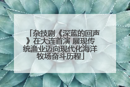 杂技剧《深蓝的回声》在大连首演 展现传统渔业迈向现代化海洋牧场奋斗历程