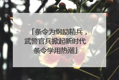 条令为纲励精兵，武警官兵掀起新时代条令学用热潮