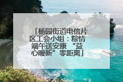 杨园街道电信片区工会小组：粽情端午送安康 “益心暖新”零距离