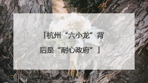杭州“六小龙”背后是“耐心政府”