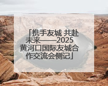 携手友城 共赴未来——2025黄河口国际友城合作交流会侧记