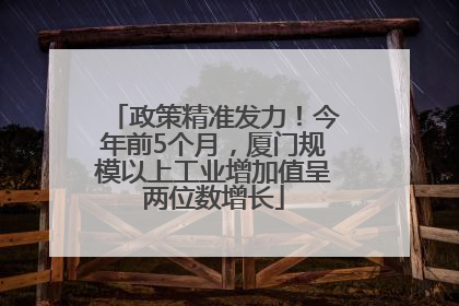 政策精准发力！今年前5个月，厦门规模以上工业增加值呈两位数增长