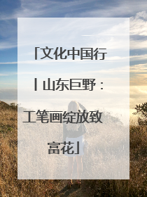 文化中国行丨山东巨野：工笔画绽放致富花