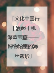 文化中国行｜浪起千帆 深蓝宝藏——博物馆里的海丝遗珍