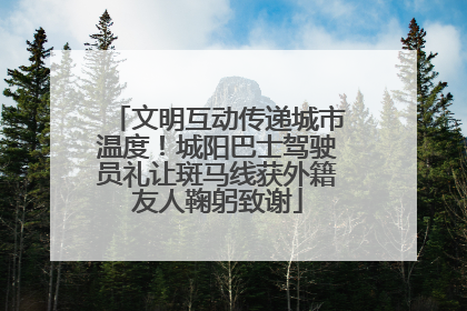 文明互动传递城市温度！城阳巴士驾驶员礼让斑马线获外籍友人鞠躬致谢