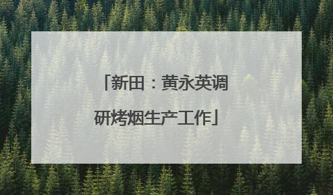 新田：黄永英调研烤烟生产工作