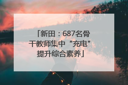 新田：687名骨干教师集中“充电” 提升综合素养