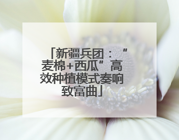 新疆兵团：“麦棉+西瓜”高效种植模式奏响致富曲
