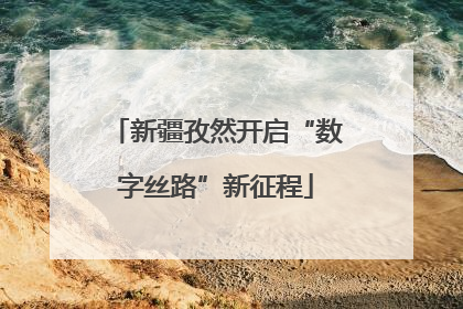 新疆孜然开启“数字丝路”新征程